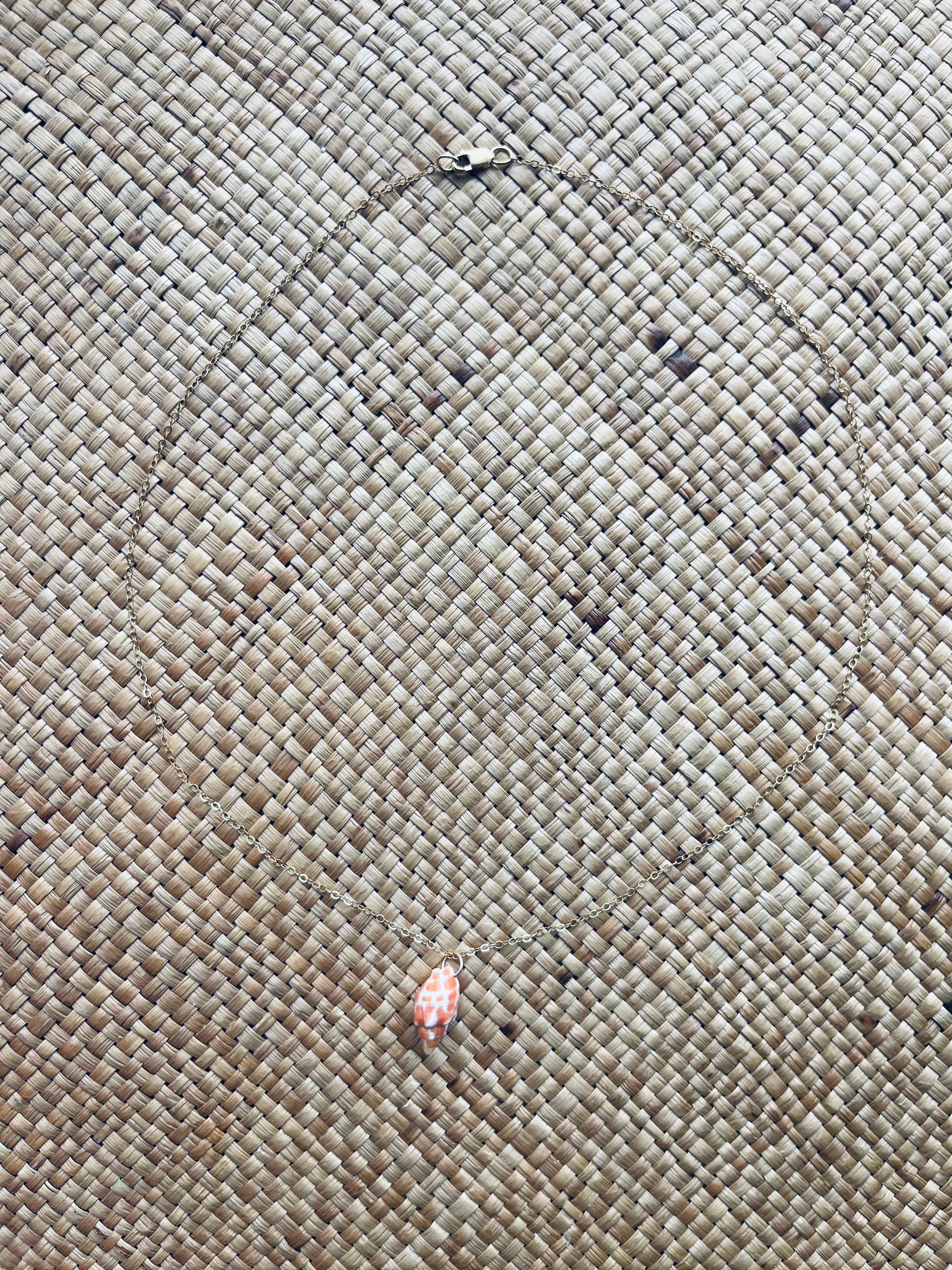 Miter Shell Necklace