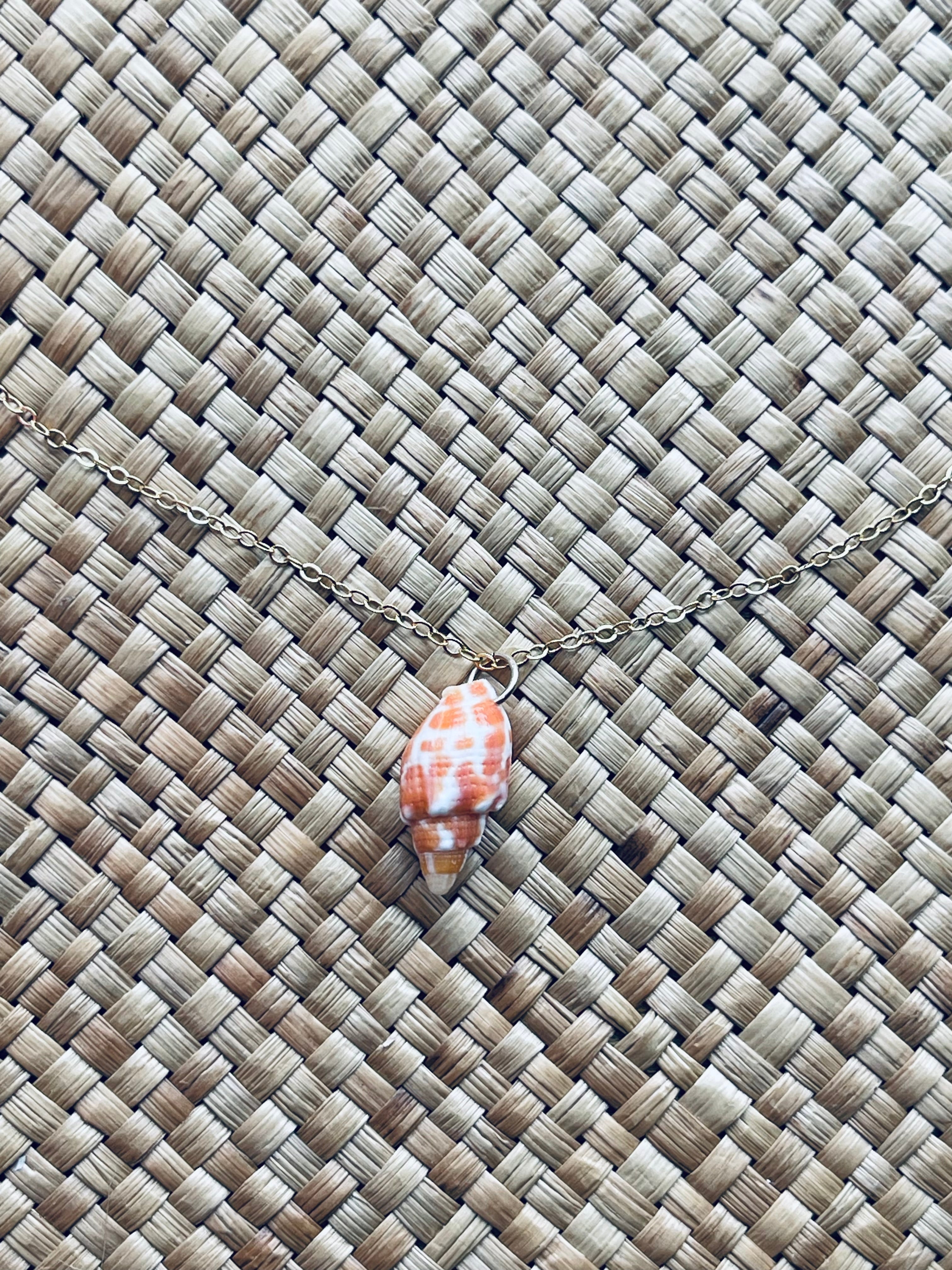 Miter Shell Necklace